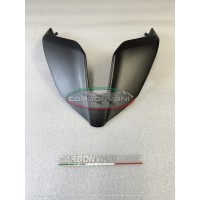 Carbonvani Carbon Fiber Monoposto Tail Fairing for Ducati Panigale V4 (2025+)